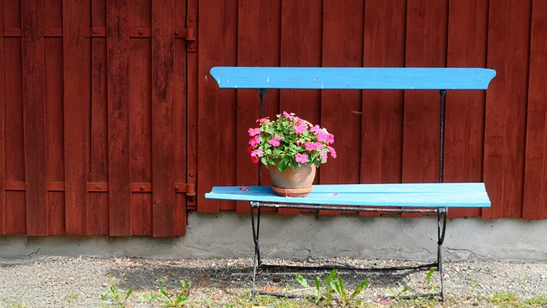 Parkbänk framför en husvägg. På bänken står en blomkruka med blommor. 